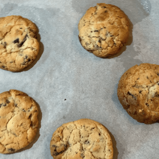 A tray of 5 perfectly round chocolate chip cookies